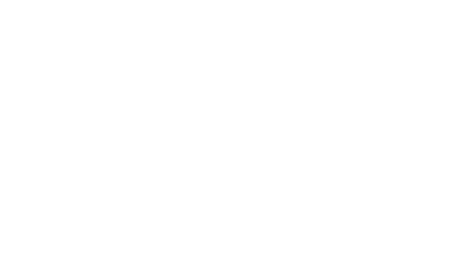 Morson Painting & Renovation White Logo