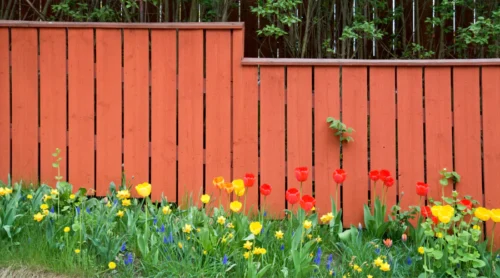 fence painting service